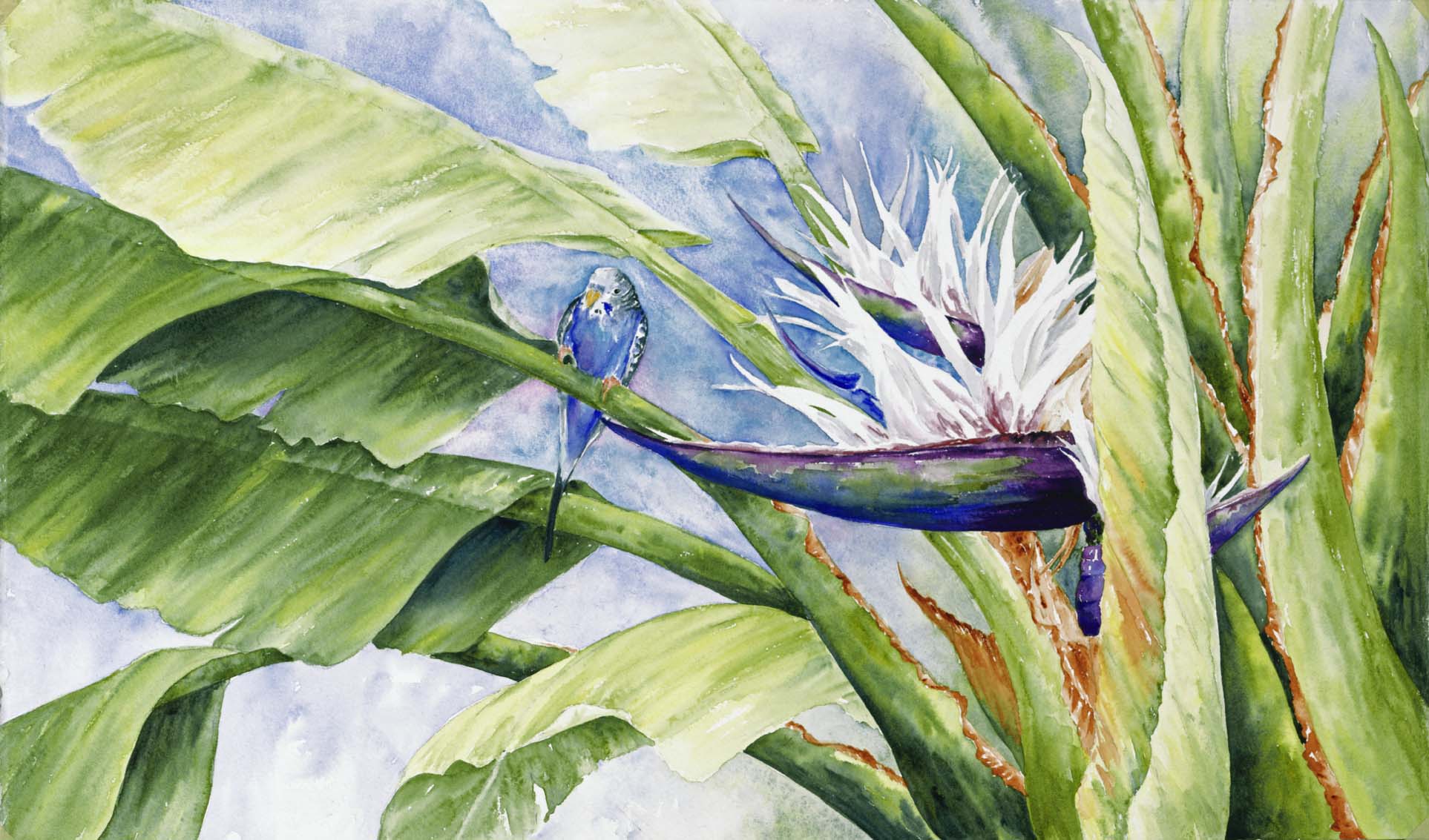 Birds of Paradise II