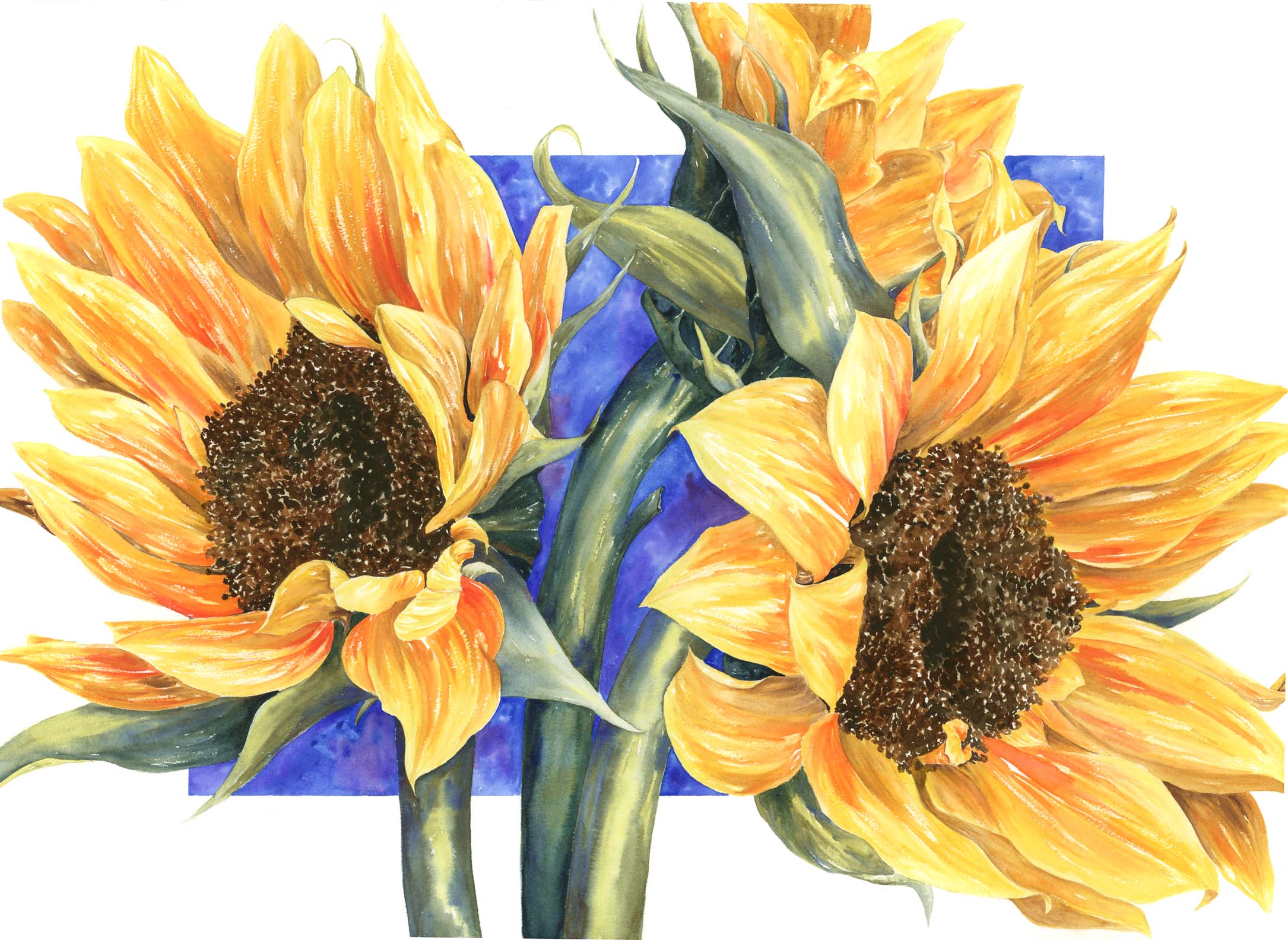 Sunflowers I