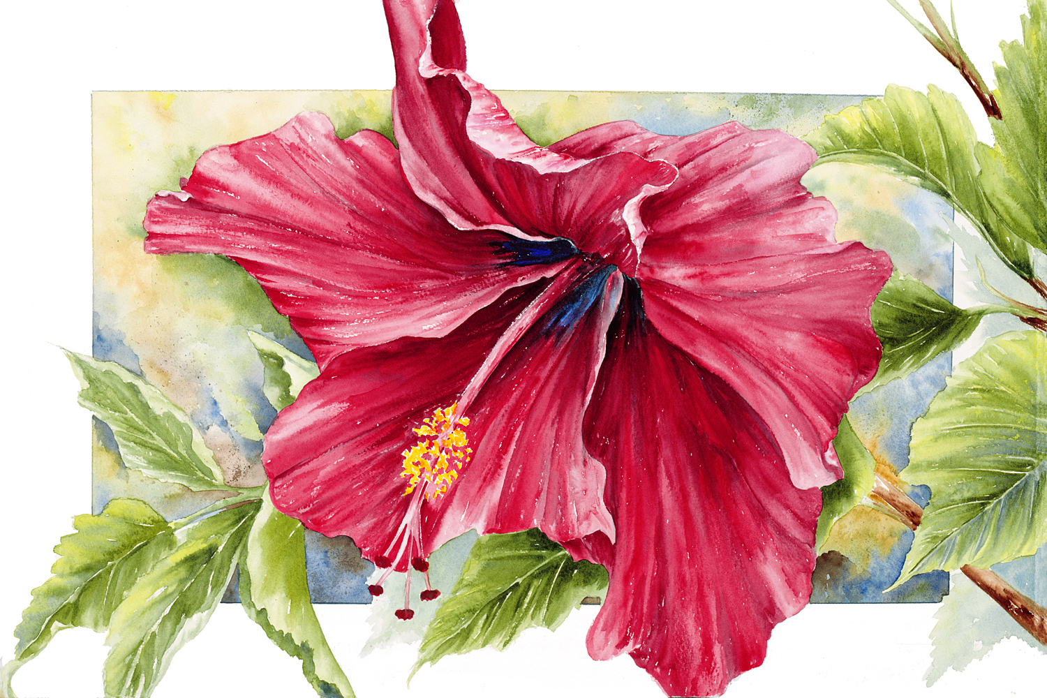 Red Hibiscus I
