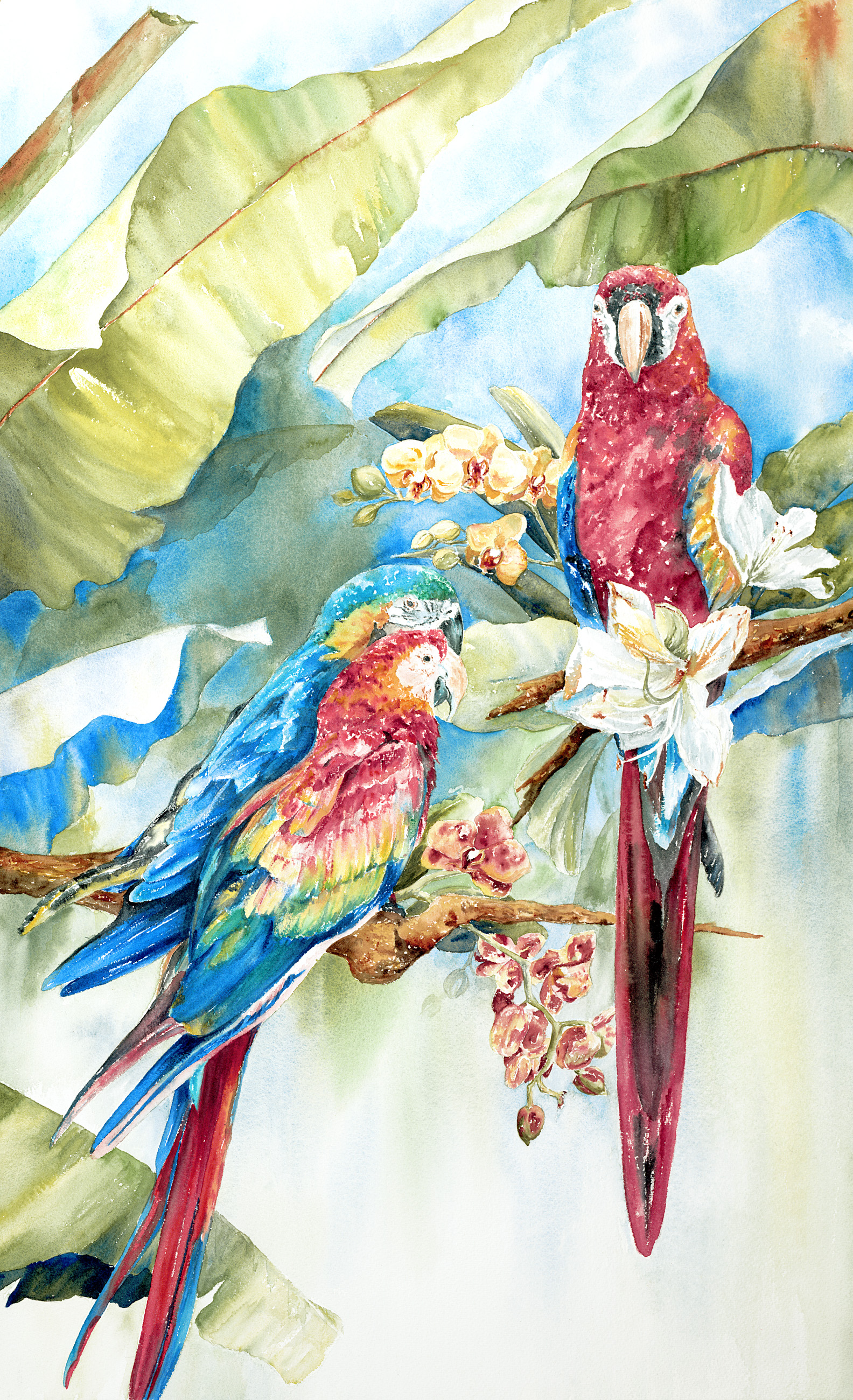 Parrots II